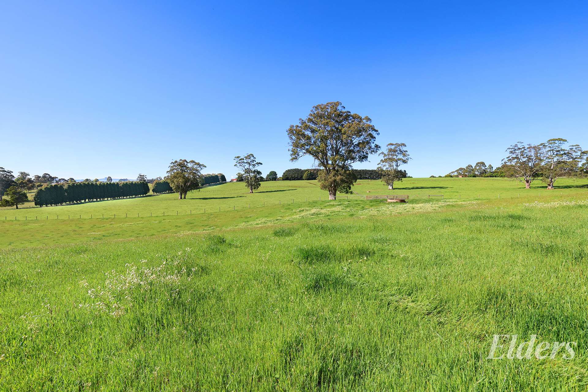 381 Warragul Lardner Road & 935 Lardners Track, Warragul For Sale by Farmbuy.com - image 26