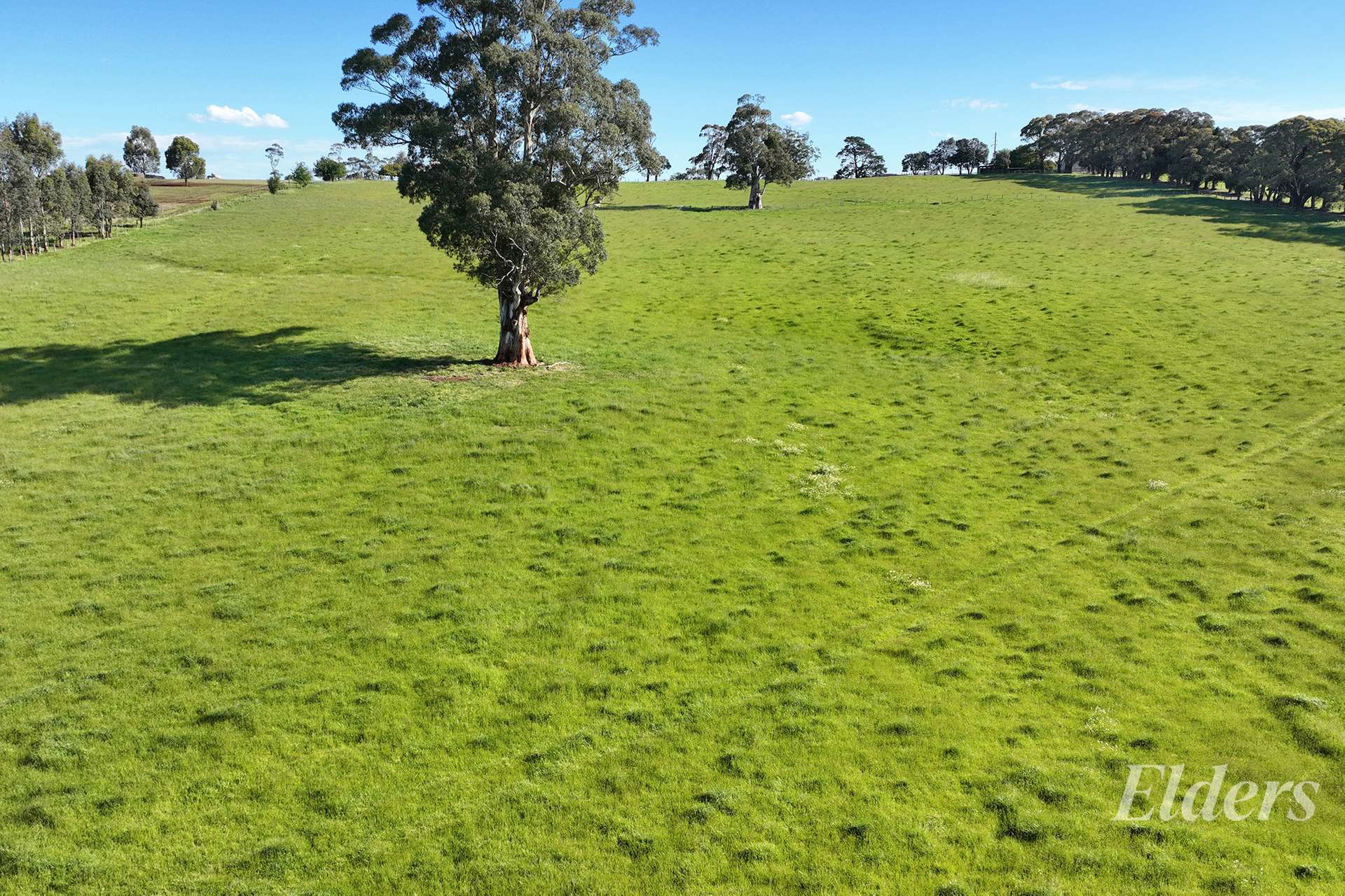 381 Warragul Lardner Road & 935 Lardners Track, Warragul For Sale by Farmbuy.com - image 32