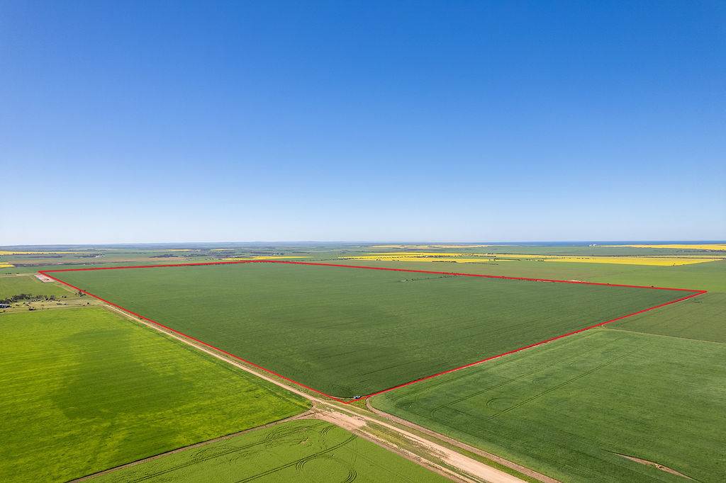 Lot 22 Pfitzner Road, Butler For Sale by Farmbuy.com - image 9