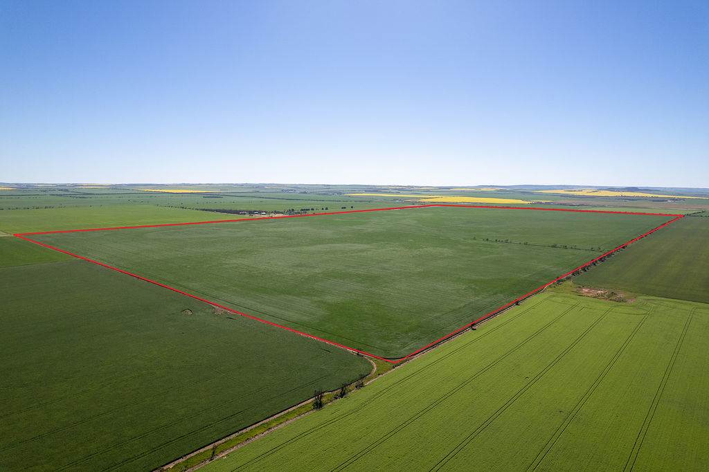 Lot 22 Pfitzner Road, Butler For Sale by Farmbuy.com - image 10