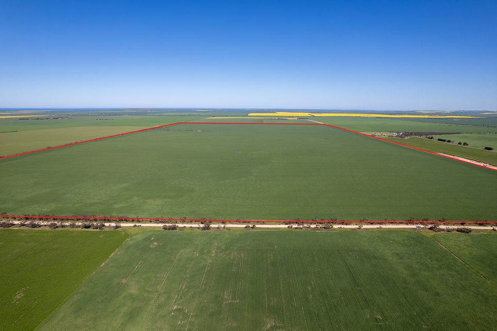 Lot 22 Pfitzner Road, Butler For Sale by Farmbuy.com - image 23