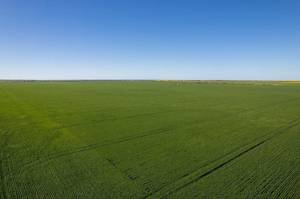 Lot 22 Pfitzner Road, Butler For Sale by Farmbuy.com - image 5