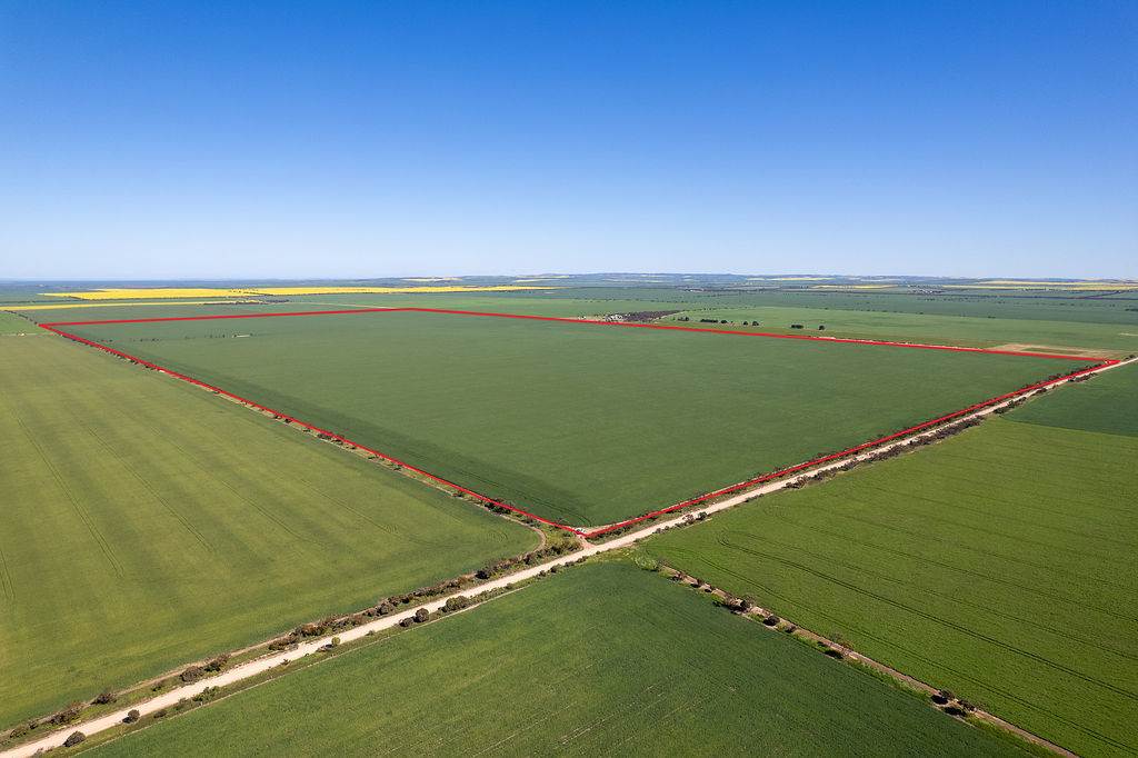 Lot 22 Pfitzner Road, Butler For Sale by Farmbuy.com - image 1