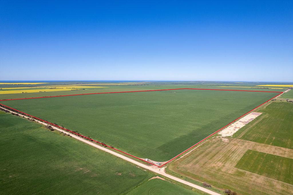 Lot 22 Pfitzner Road, Butler For Sale by Farmbuy.com - image 24