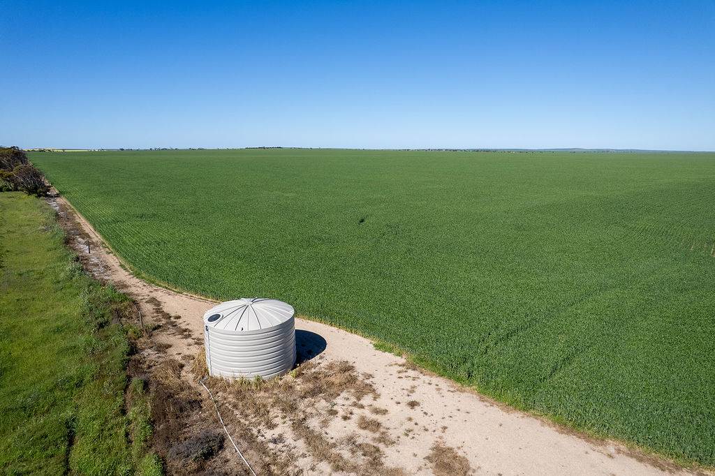 Lot 22 Pfitzner Road, Butler For Sale by Farmbuy.com - image 7