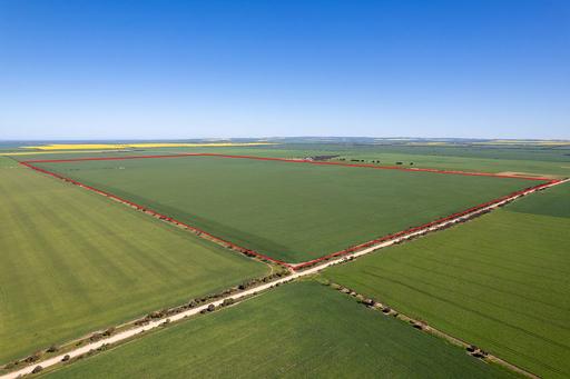 Lot 22 Pfitzner Road, Butler SA 5605