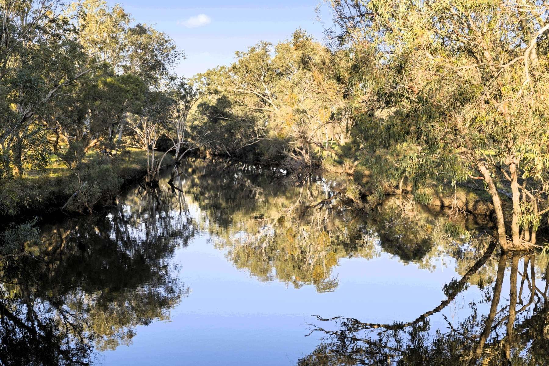 706 Orange Springs Road, Orange Springs, Gingin For Sale by Farmbuy.com - image 5