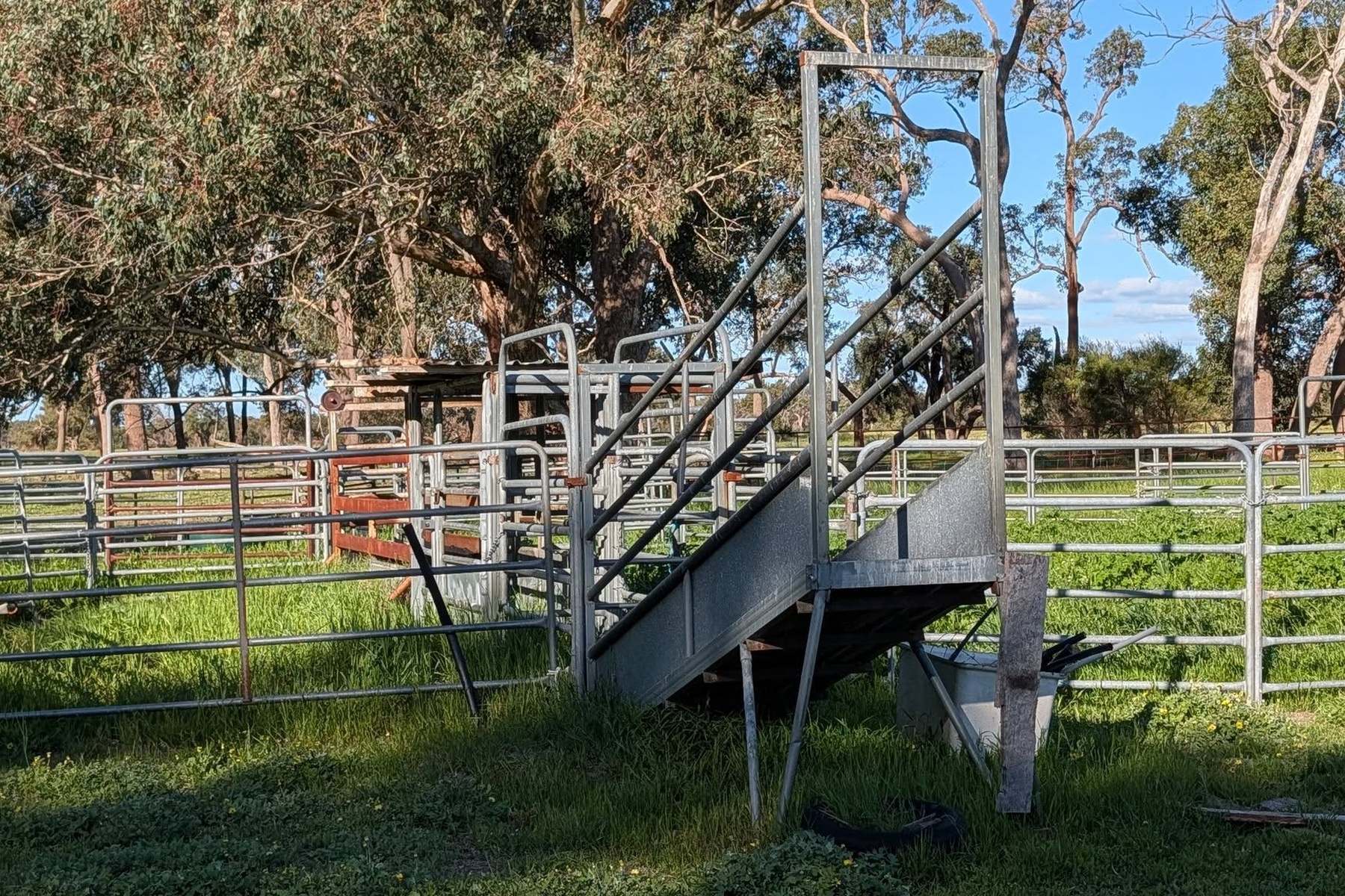 706 Orange Springs Road, Orange Springs, Gingin For Sale by Farmbuy.com - image 9
