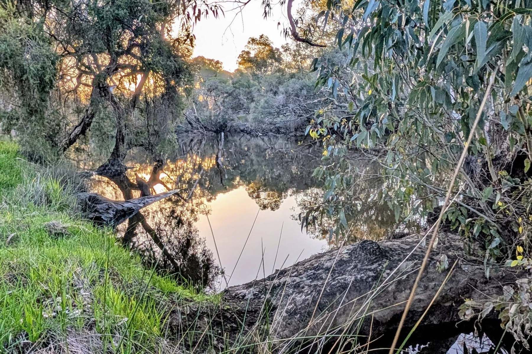 706 Orange Springs Road, Orange Springs, Gingin For Sale by Farmbuy.com - image 3