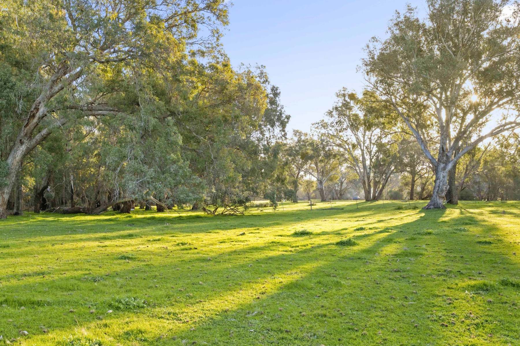 706 Orange Springs Road, Orange Springs, Gingin For Sale by Farmbuy.com - image 28