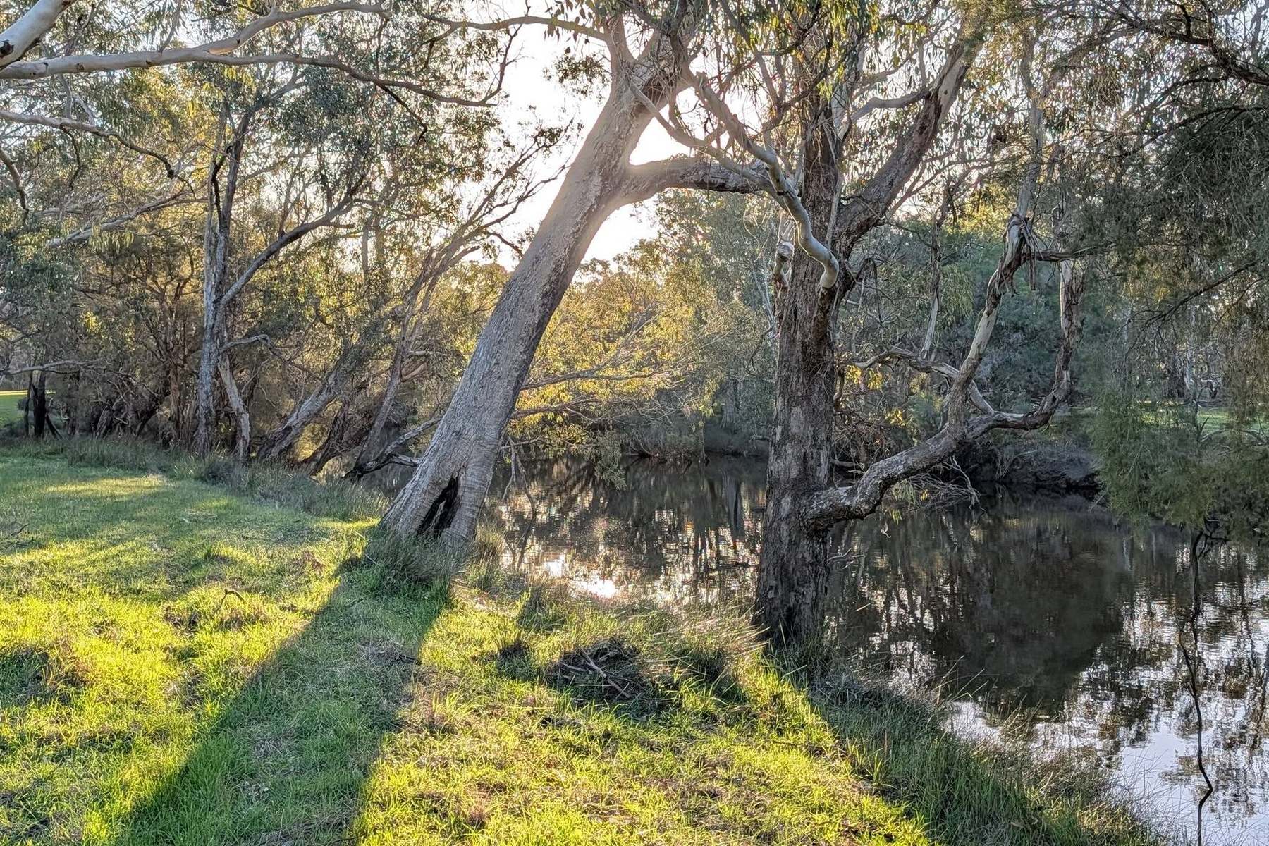 706 Orange Springs Road, Orange Springs, Gingin For Sale by Farmbuy.com - image 29
