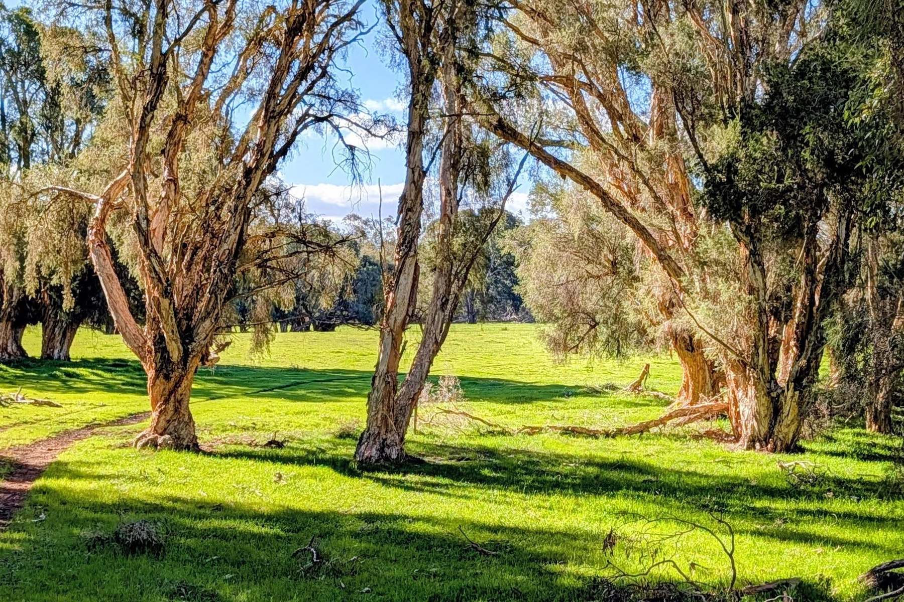 706 Orange Springs Road, Orange Springs, Gingin For Sale by Farmbuy.com - image 14
