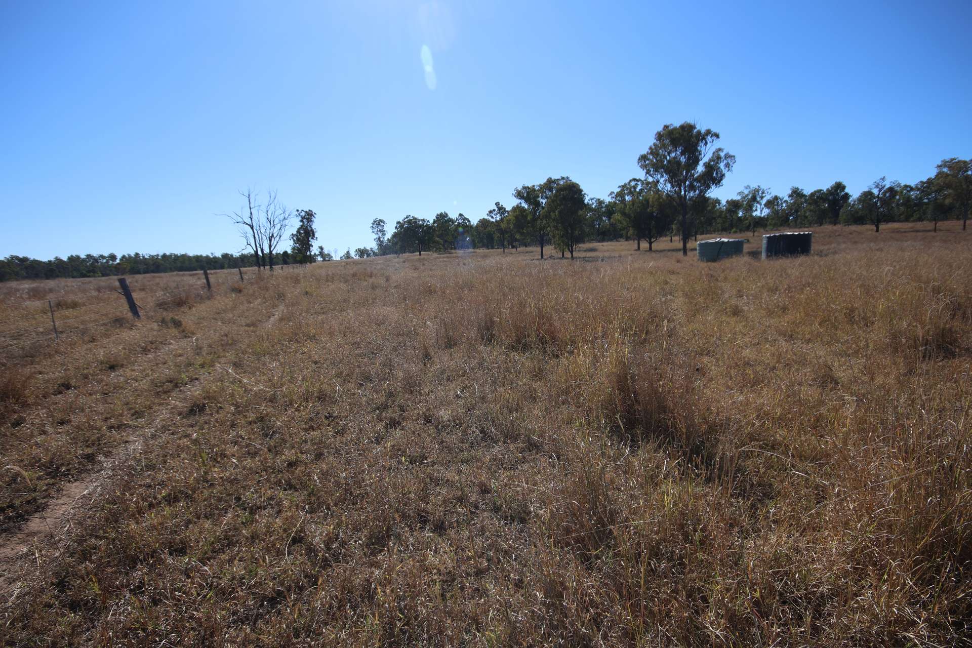 Lots 37 & 50 A Creek Road, Coonambula Sold by Farmbuy.com - image 4