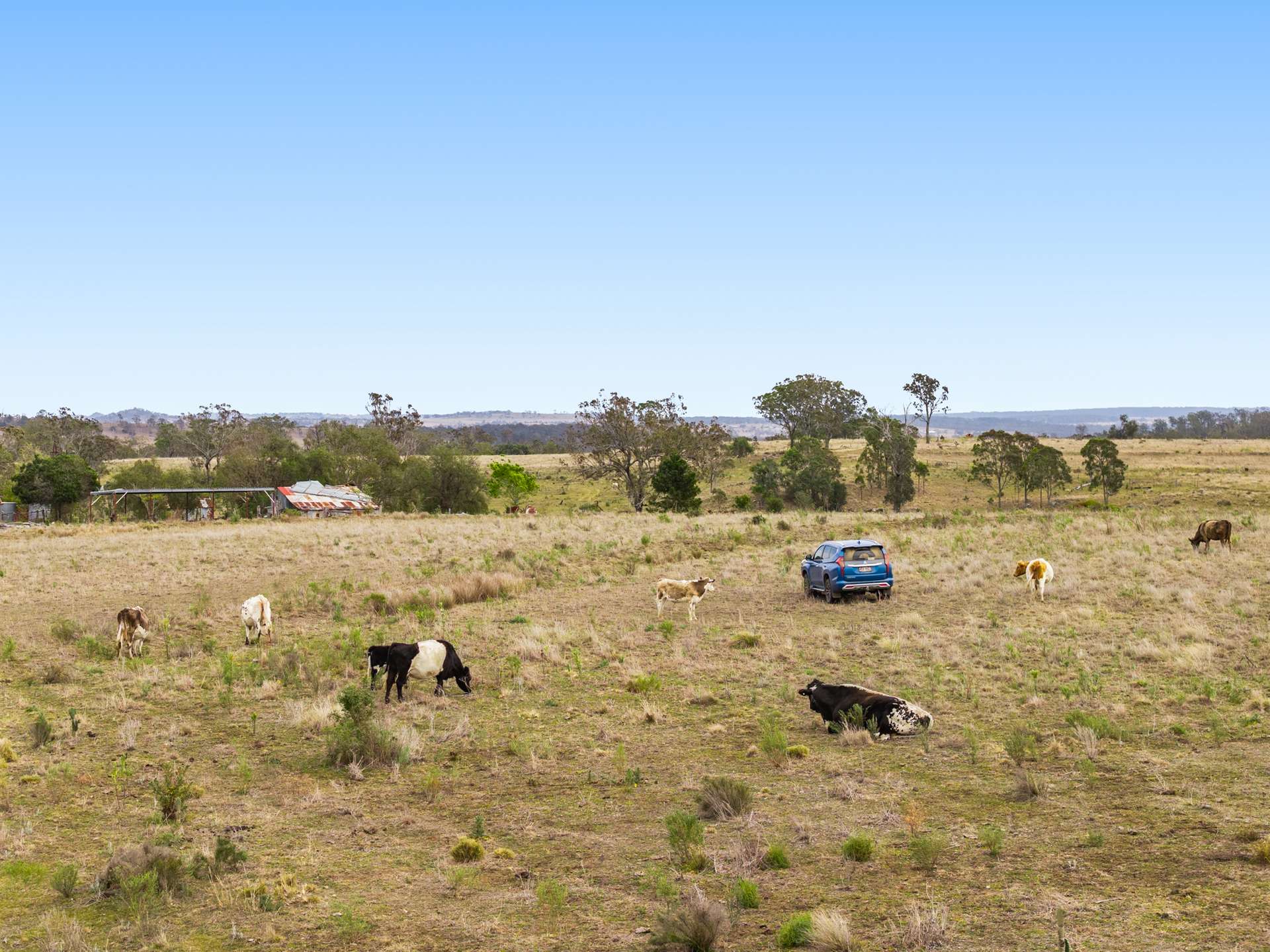 "Cooby Crest" 101 Pipeline Road, Meringandan For Sale by Farmbuy.com - image 9