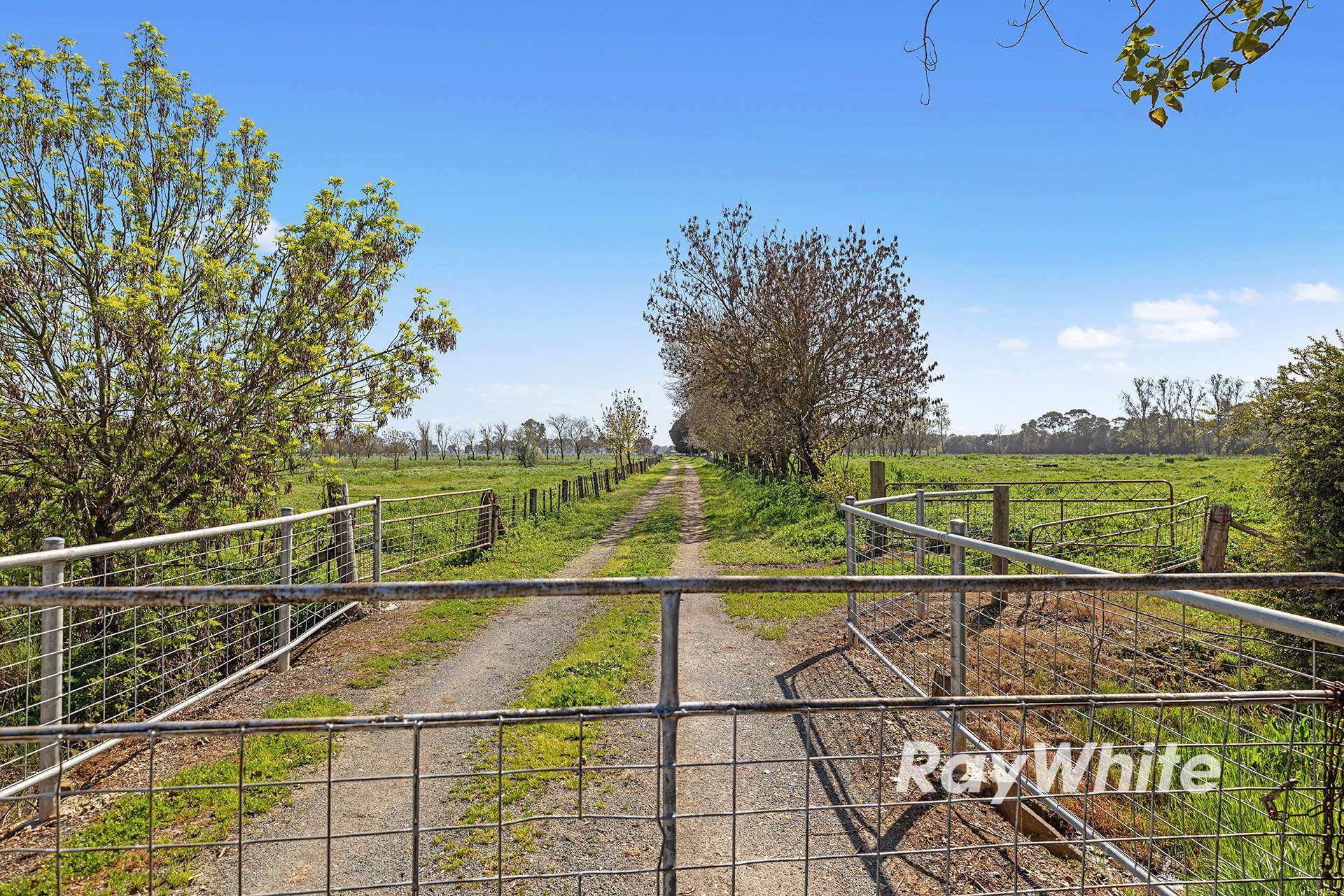 3739 Midland Hwy, Stanhope For Sale by Farmbuy.com - image 27