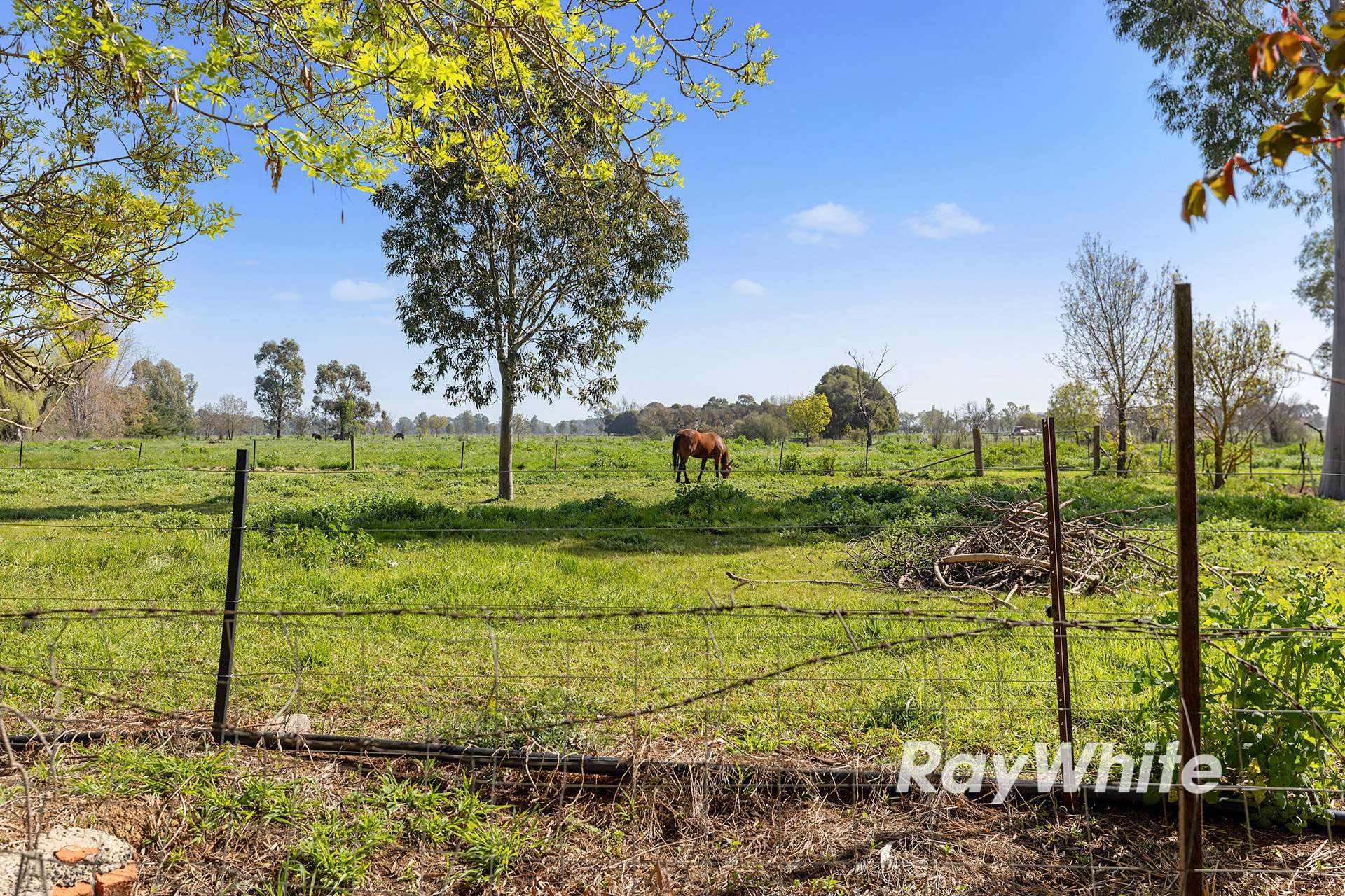 3739 Midland Hwy, Stanhope For Sale by Farmbuy.com - image 21