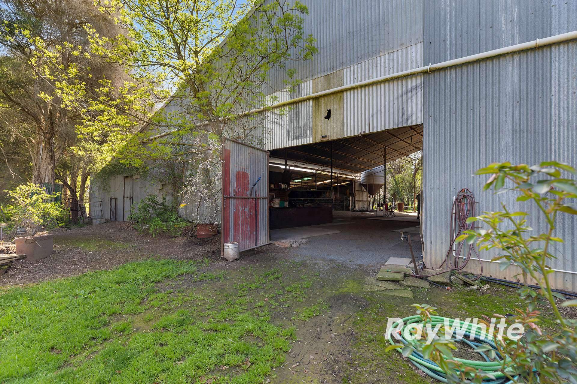 3739 Midland Hwy, Stanhope For Sale by Farmbuy.com - image 23