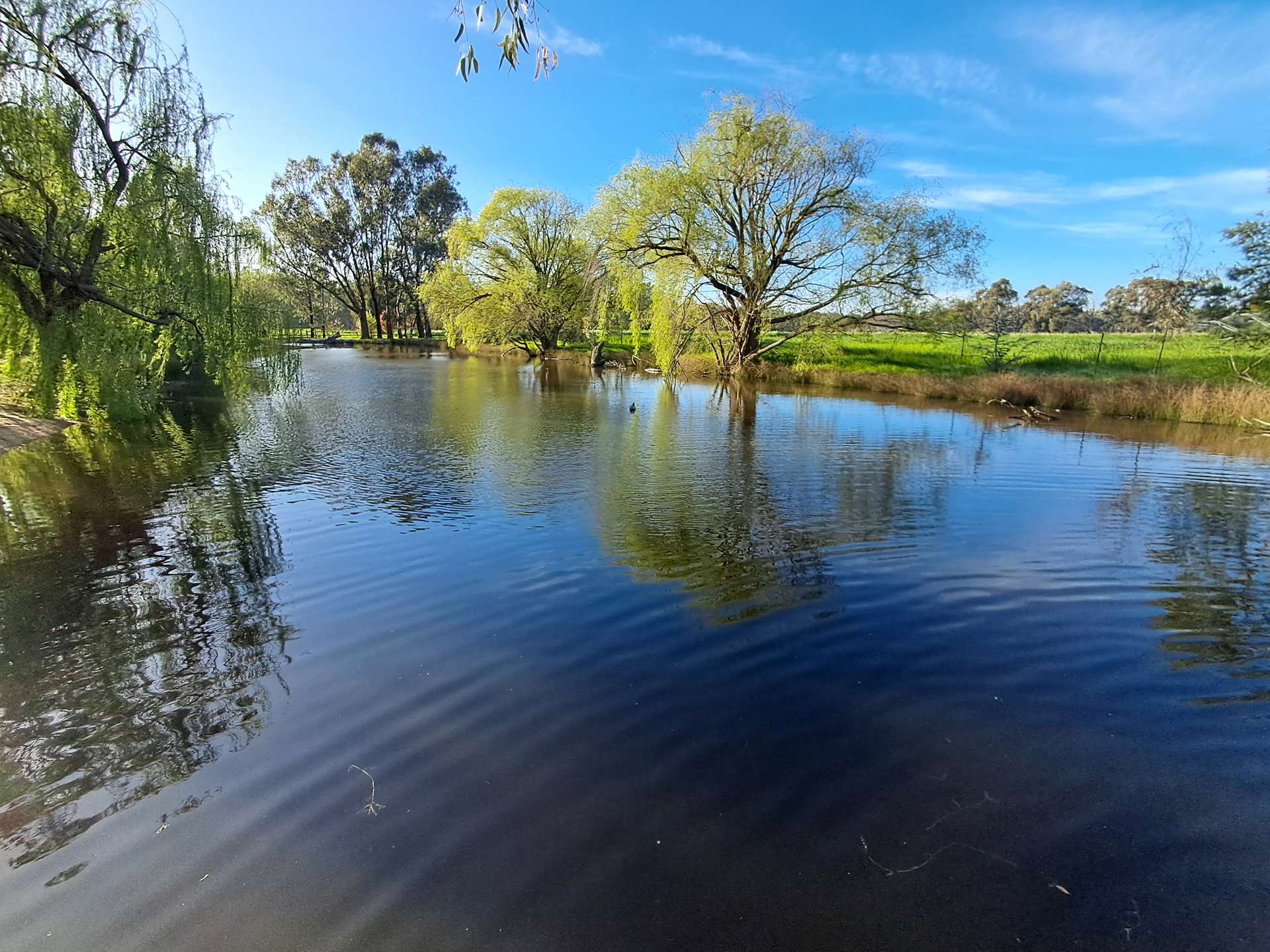 220 Bridge Road, Toolamba Auction by Farmbuy.com - image 27