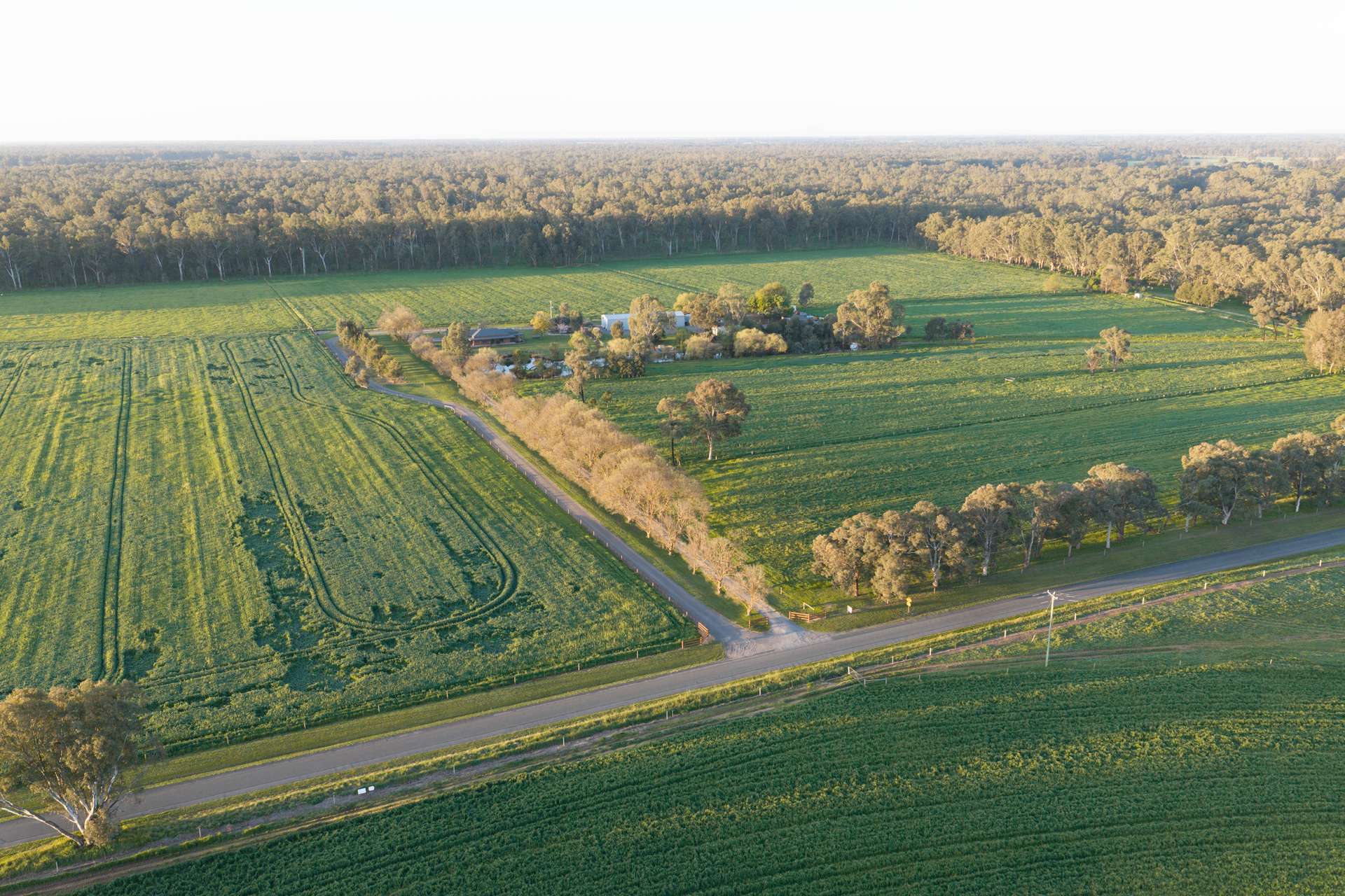220 Bridge Road, Toolamba Auction by Farmbuy.com - image 4