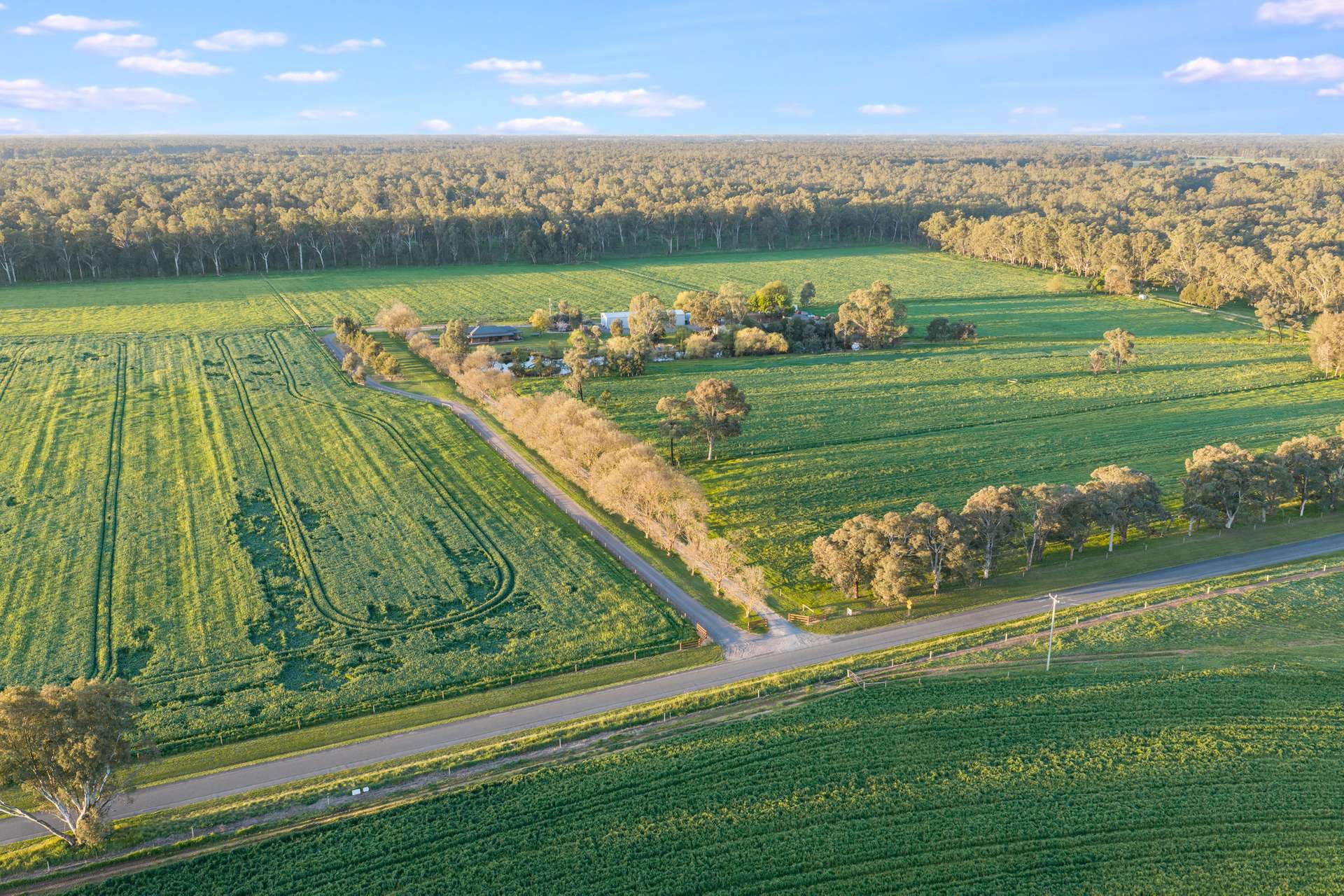 220 Bridge Road, Toolamba Auction by Farmbuy.com - image 4