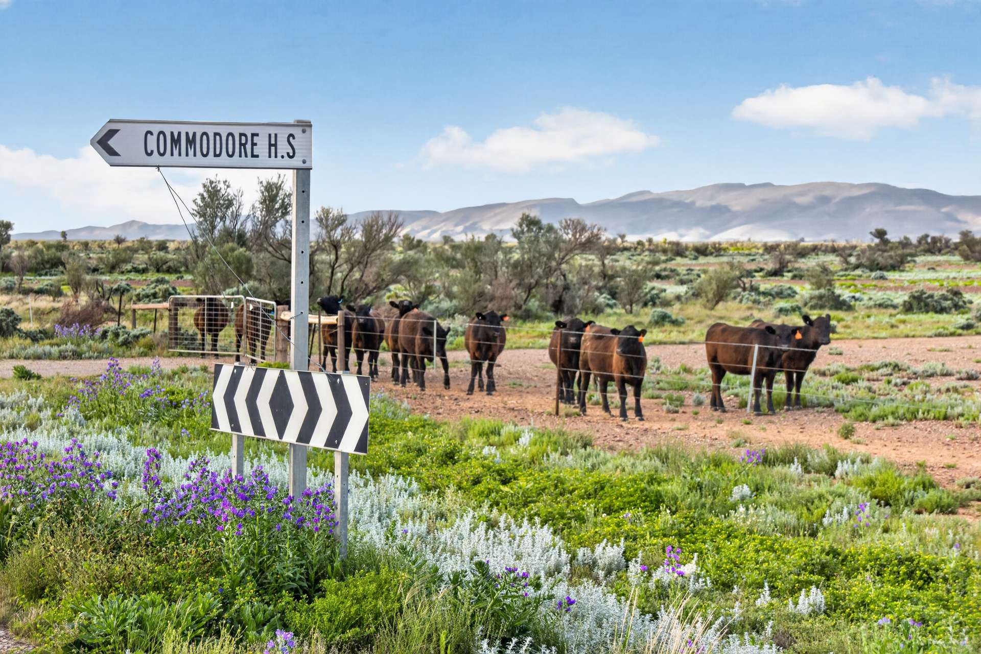 Outback Highway, Parachilna For Sale by Farmbuy.com - image 6