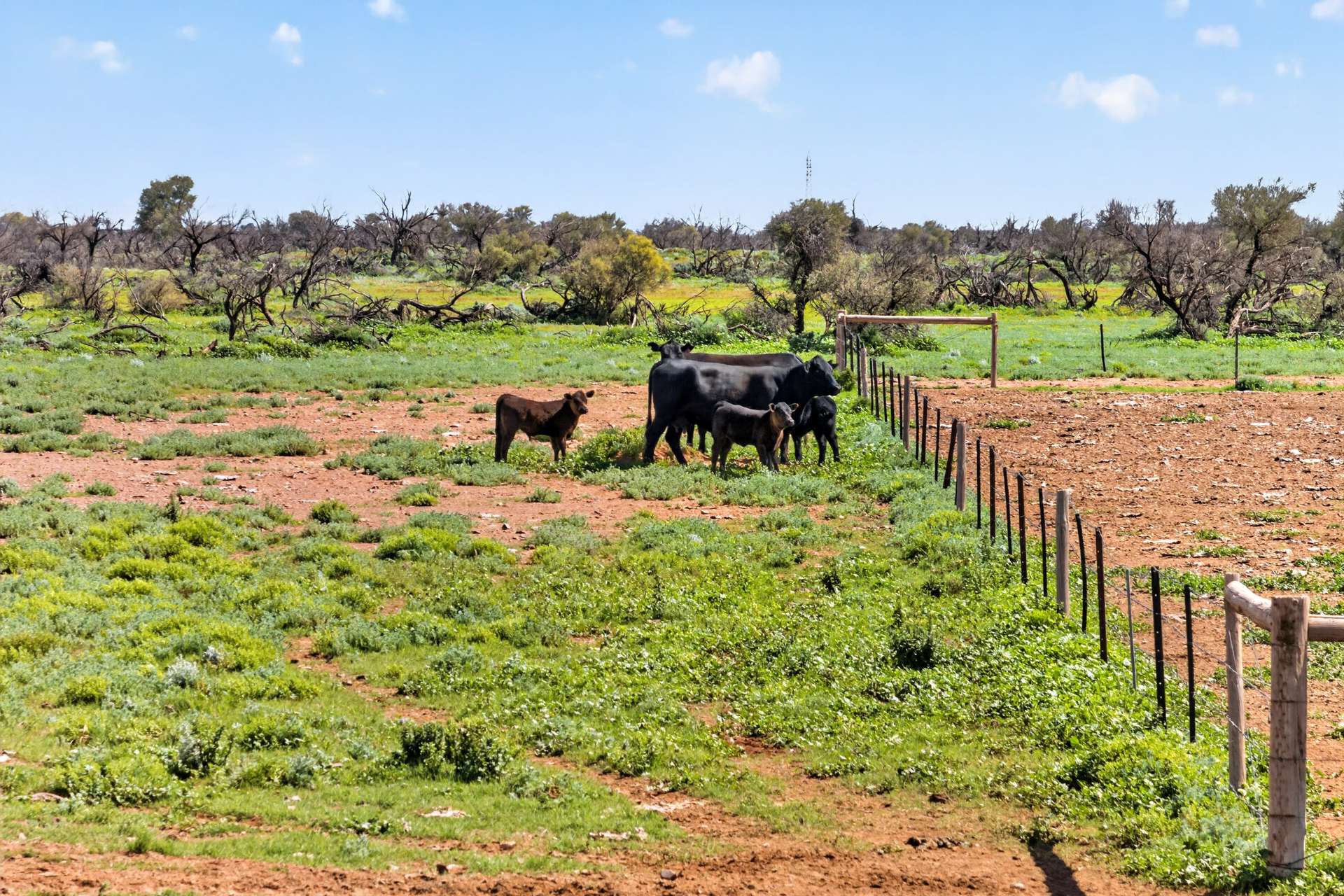 Outback Highway, Parachilna For Sale by Farmbuy.com - image 17