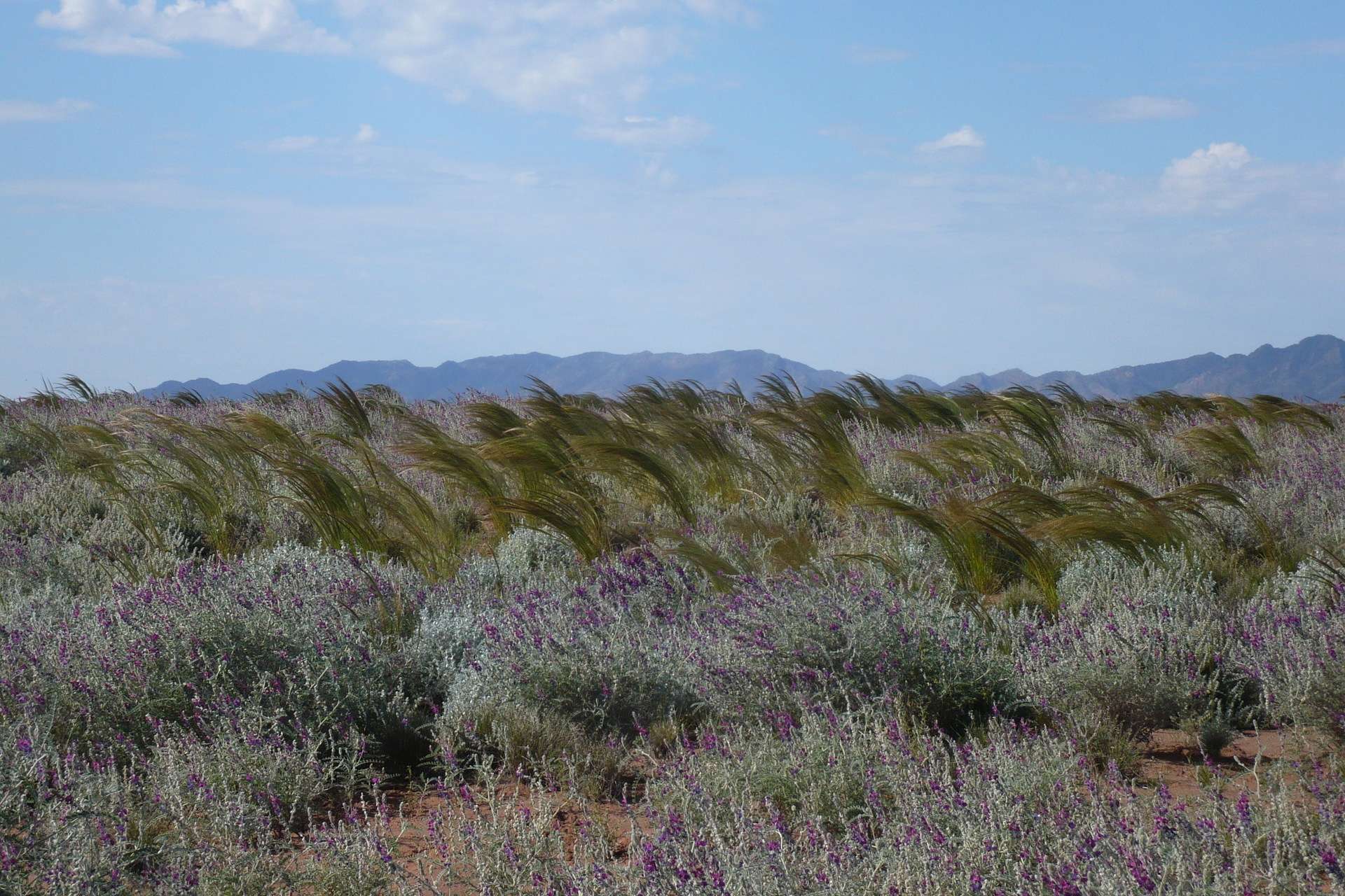 Outback Highway, Parachilna For Sale by Farmbuy.com - image 24
