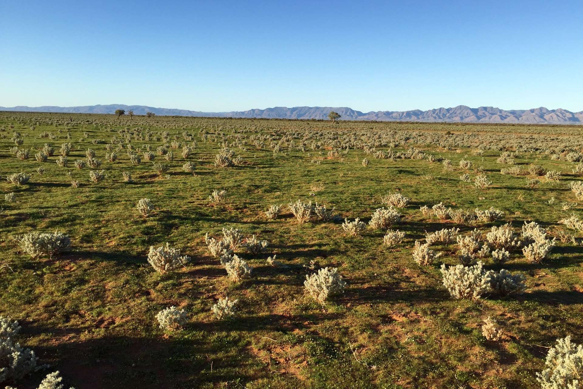 Outback Highway, Parachilna For Sale by Farmbuy.com - image 23
