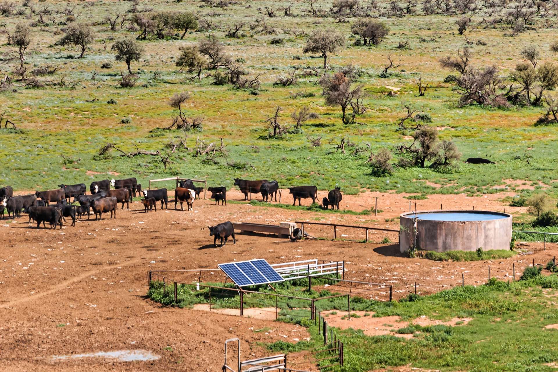Outback Highway, Parachilna For Sale by Farmbuy.com - image 21