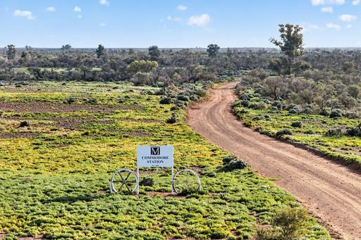 Farm For Sale - SA - Parachilna - 5730 - Commodore Station 