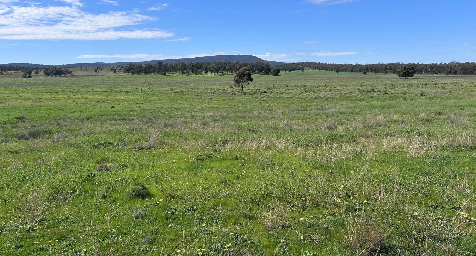 117 HILLSIDE LANE, Daroobalgie For Sale by Farmbuy.com - image 21