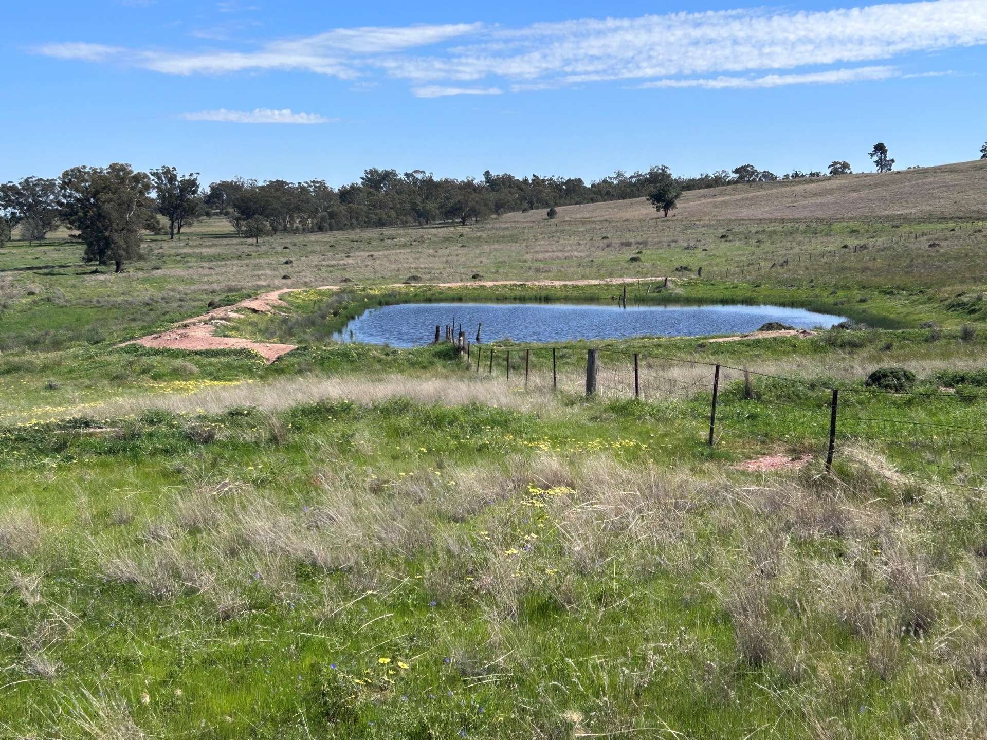 117 HILLSIDE LANE, Daroobalgie For Sale by Farmbuy.com - image 11
