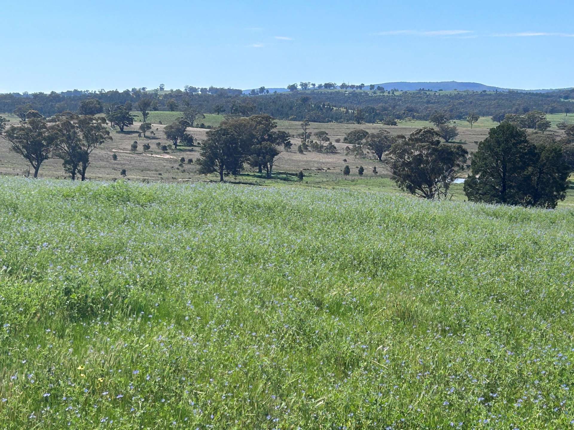 117 HILLSIDE LANE, Daroobalgie For Sale by Farmbuy.com - image 14