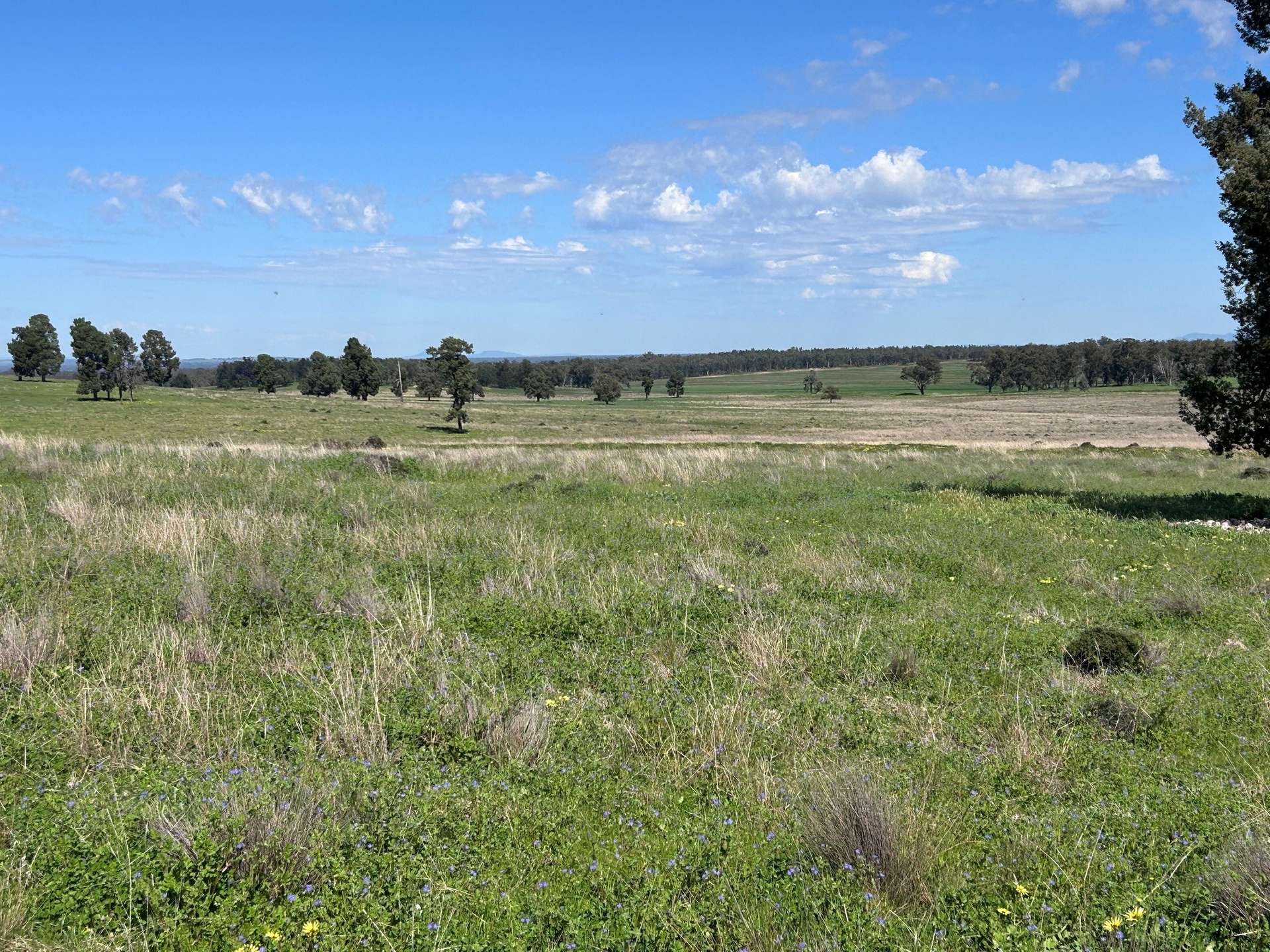 117 HILLSIDE LANE, Daroobalgie For Sale by Farmbuy.com - image 19