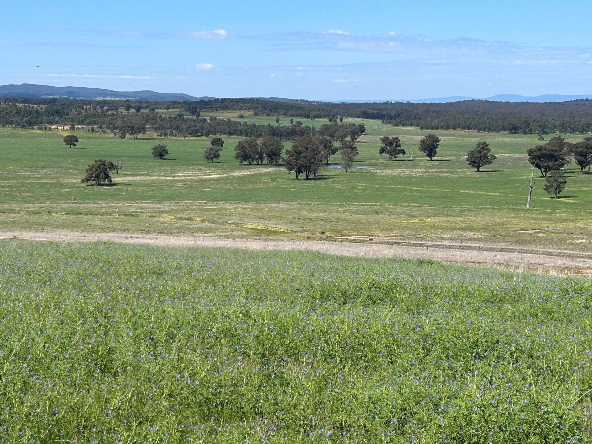 117 HILLSIDE LANE, Daroobalgie For Sale by Farmbuy.com - image 18