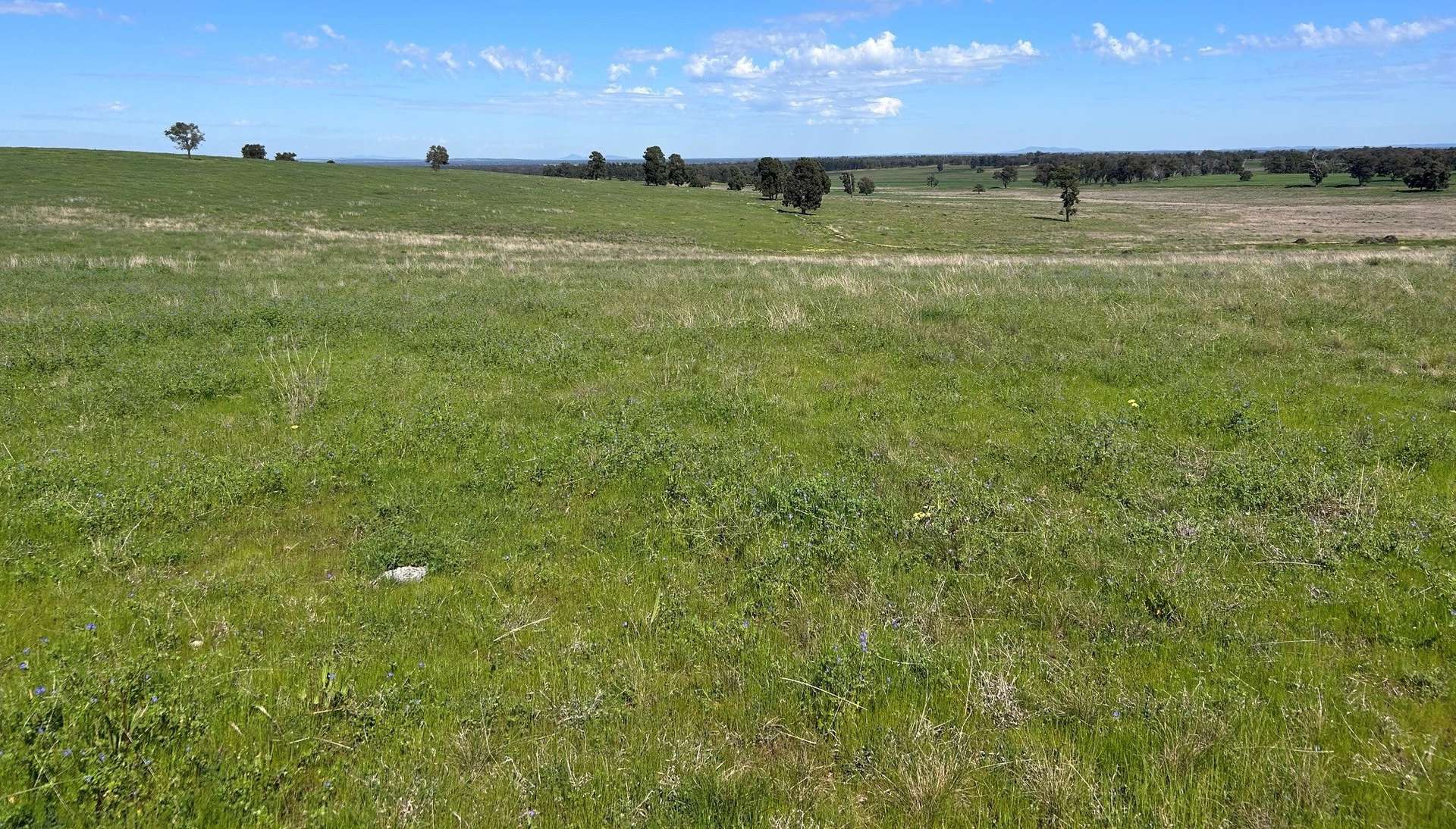 117 HILLSIDE LANE, Daroobalgie For Sale by Farmbuy.com - image 10