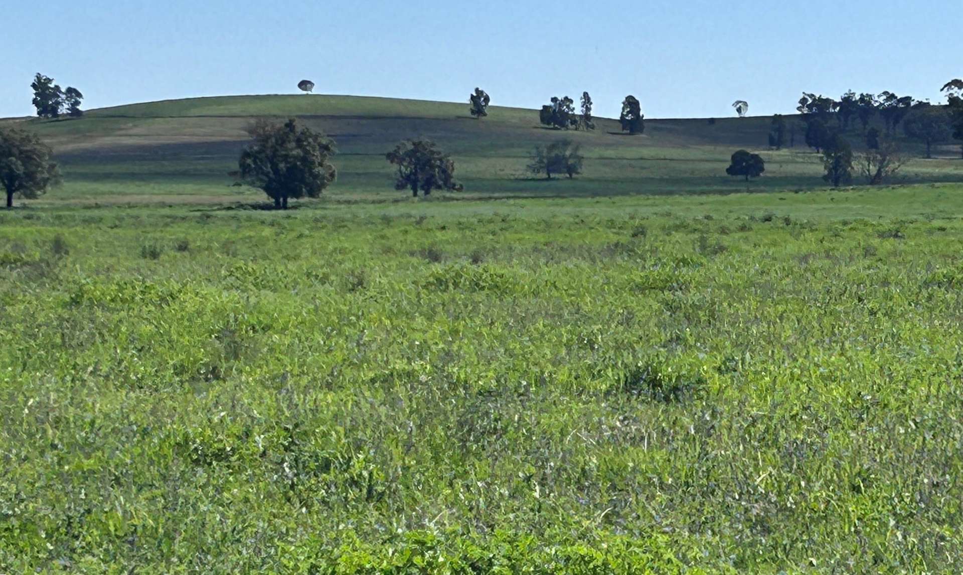 117 HILLSIDE LANE, Daroobalgie For Sale by Farmbuy.com - image 2