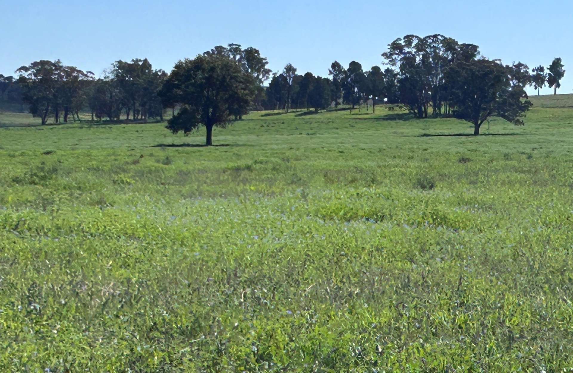 117 HILLSIDE LANE, Daroobalgie For Sale by Farmbuy.com - image 3