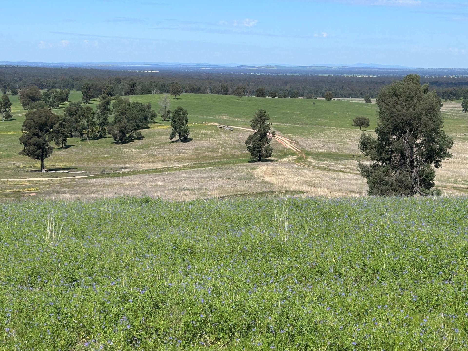 117 HILLSIDE LANE, Daroobalgie For Sale by Farmbuy.com - image 9