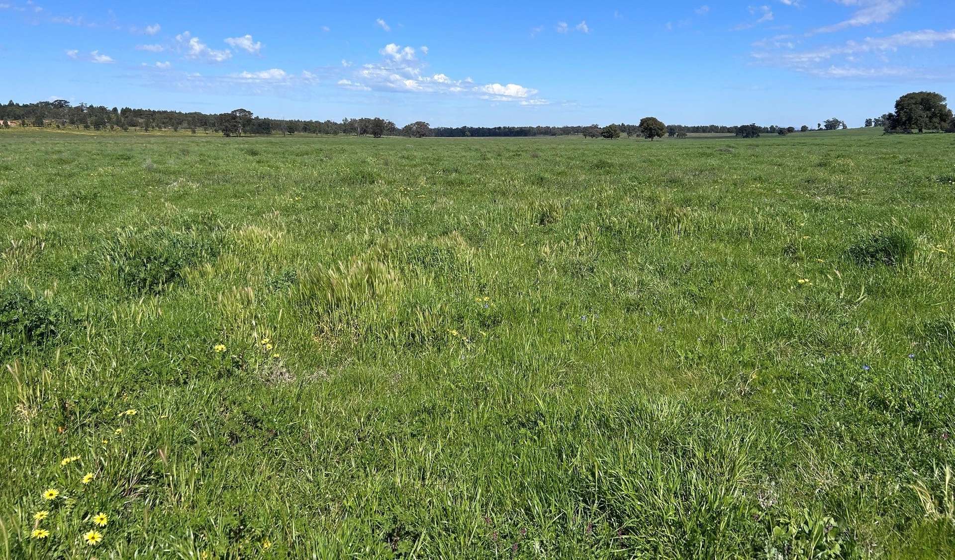 117 HILLSIDE LANE, Daroobalgie For Sale by Farmbuy.com - image 8