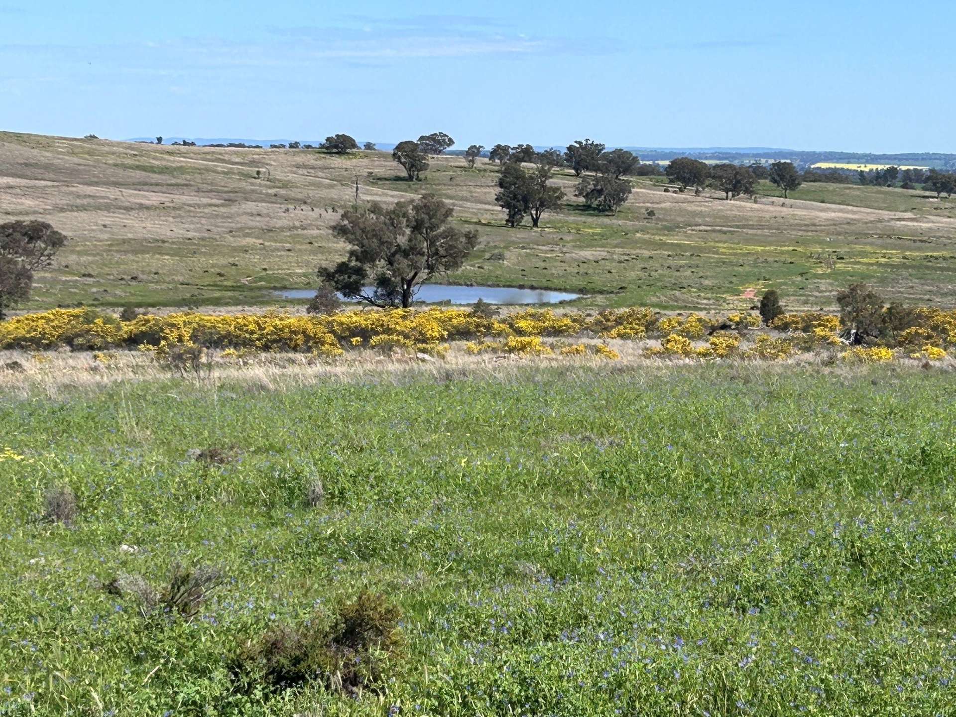 117 HILLSIDE LANE, Daroobalgie For Sale by Farmbuy.com - image 16