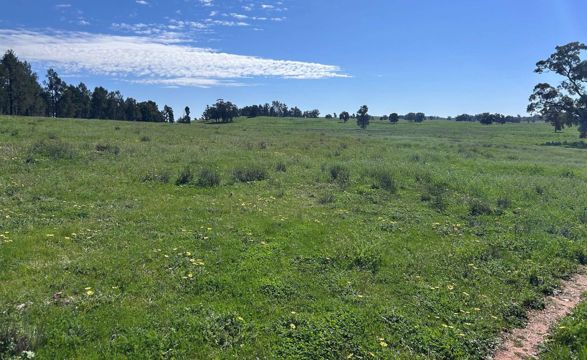 117 HILLSIDE LANE, Daroobalgie For Sale by Farmbuy.com - image 23