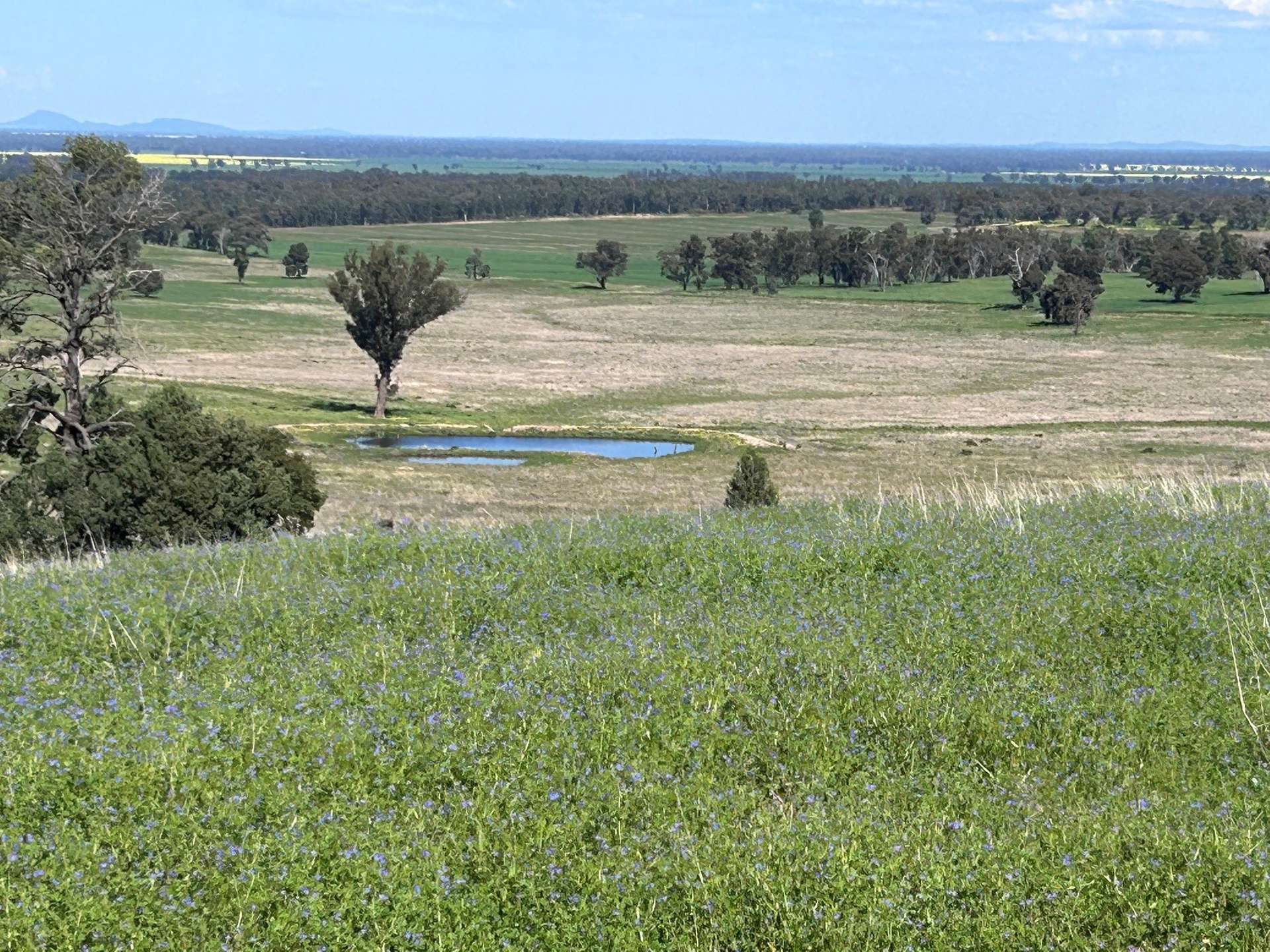 117 HILLSIDE LANE, Daroobalgie For Sale by Farmbuy.com - image 4