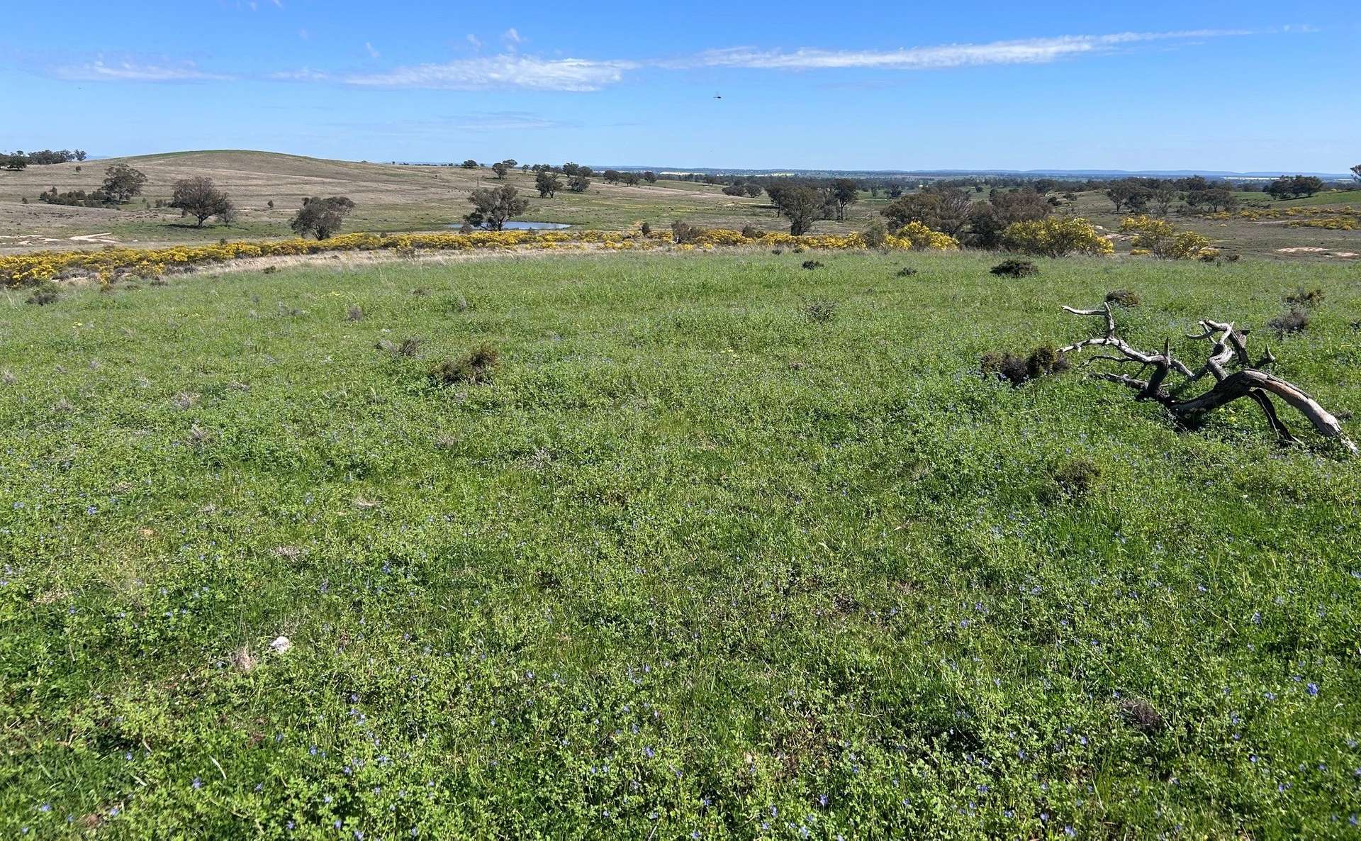 117 HILLSIDE LANE, Daroobalgie For Sale by Farmbuy.com - image 15