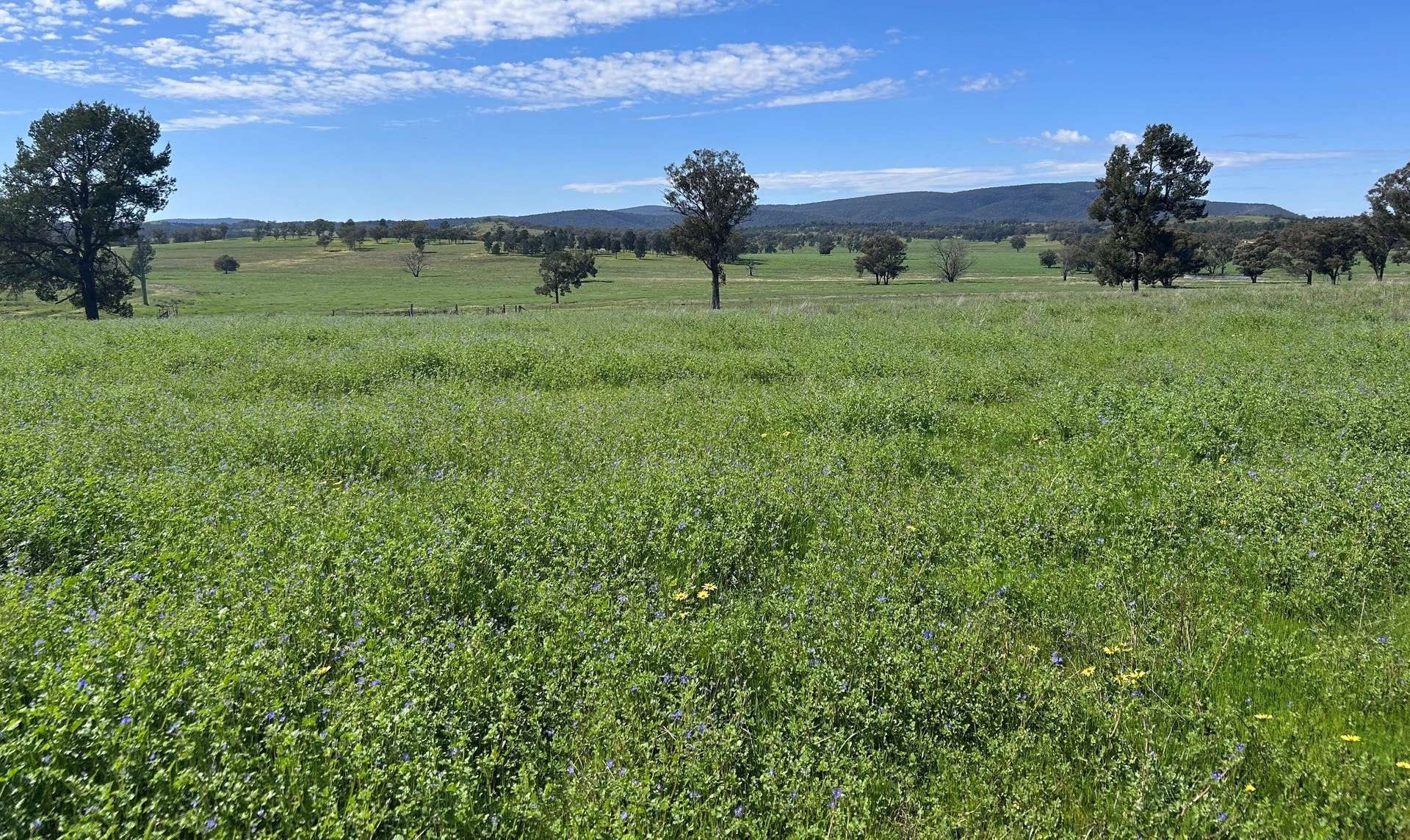 117 HILLSIDE LANE, Daroobalgie For Sale by Farmbuy.com - image 12