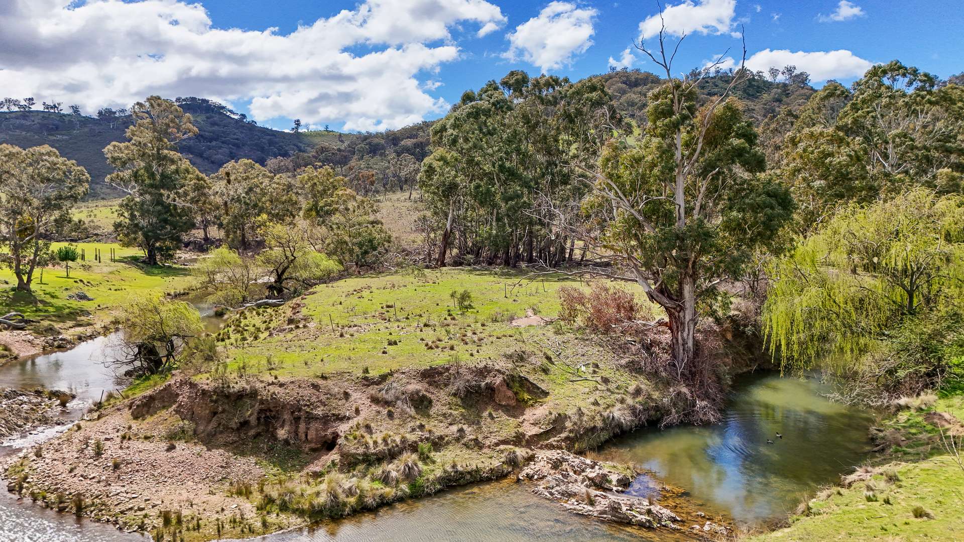 1179 Campbells Creek Road, Mudgee For Sale by Farmbuy.com - image 6