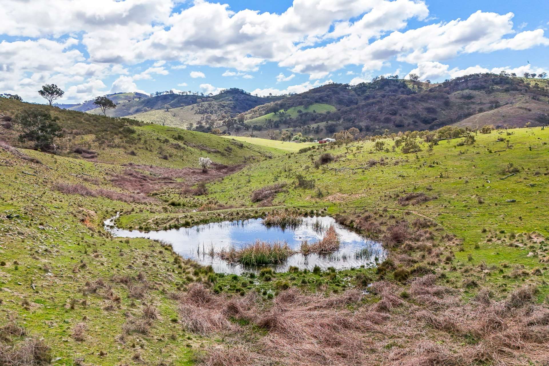 1191 Campbells Creek Road, Mudgee Sold by Farmbuy.com - image 17