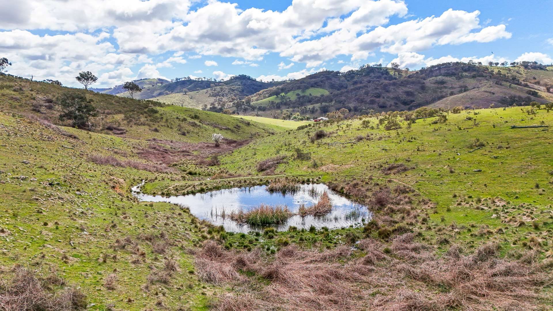 1191 Campbells Creek Road, Mudgee For Sale by Farmbuy.com - image 17