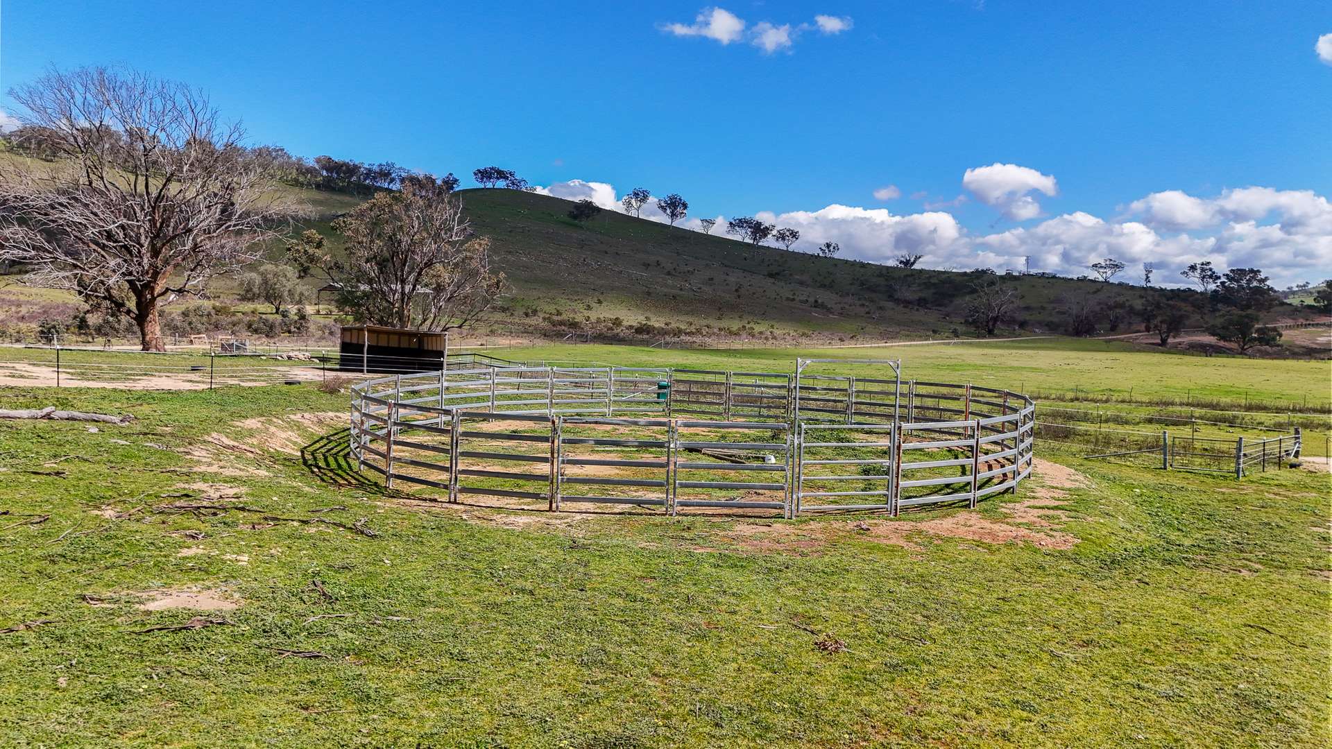 1191 Campbells Creek Road, Mudgee For Sale by Farmbuy.com - image 11