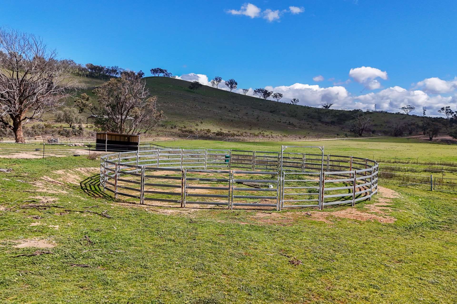 1191 Campbells Creek Road, Mudgee Sold by Farmbuy.com - image 11